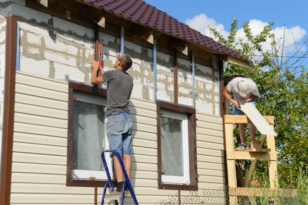 Best Custom Siding Design  in Ventress, LA